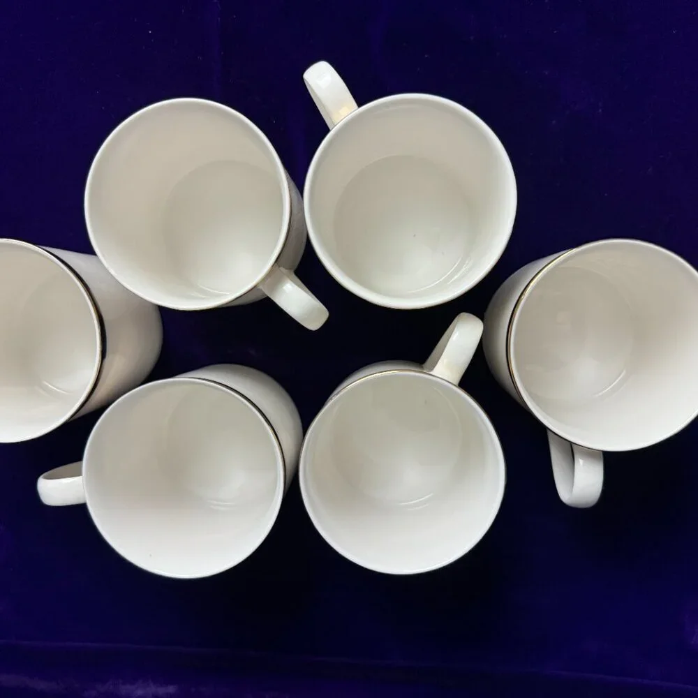 Pier 1 ONE Set of 6  Coffee Tea Mug 